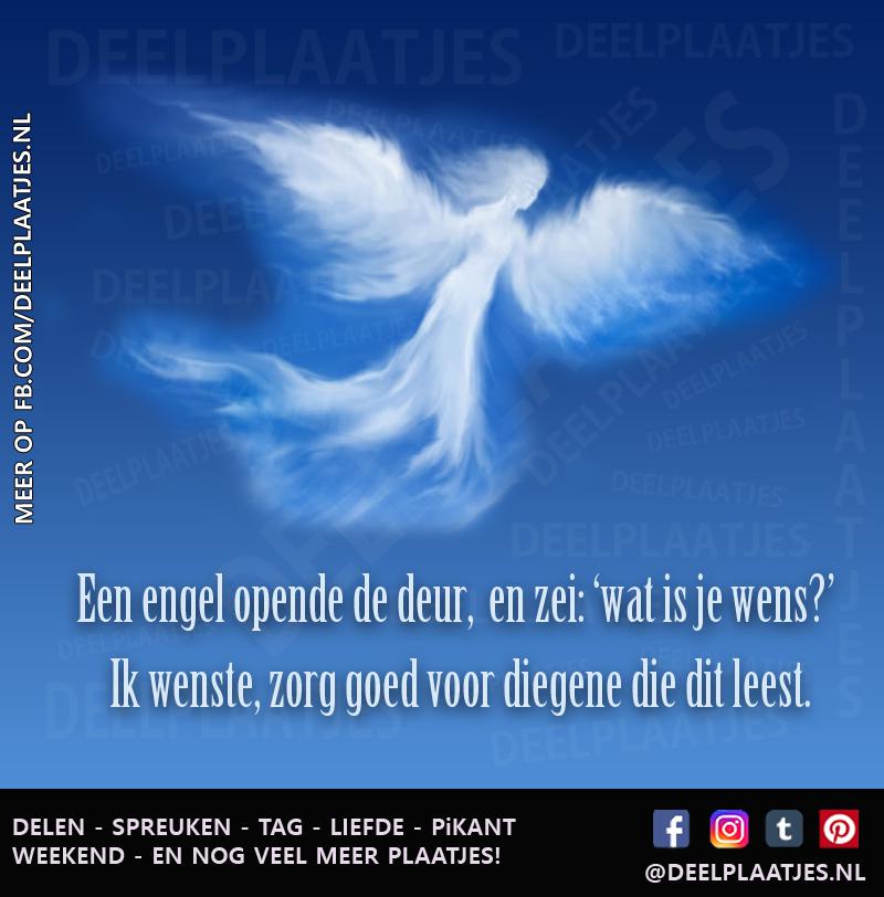 deelplaatjes-nl-ik-wenste.487243.jpg