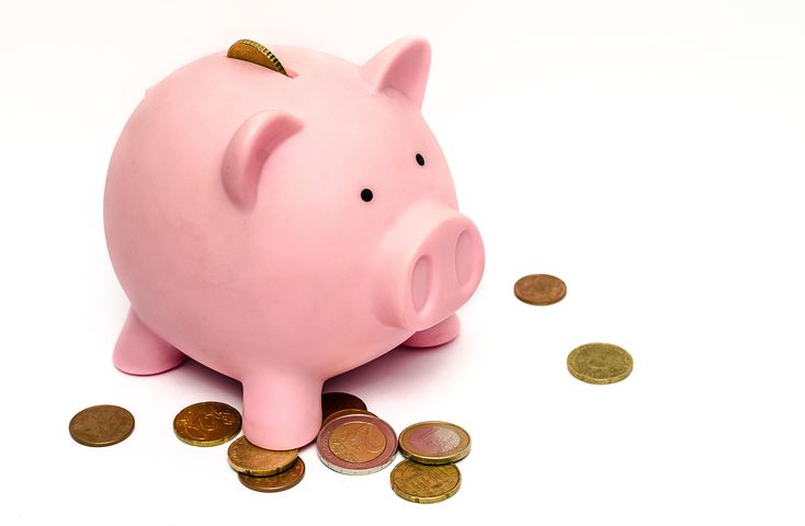 piggy-bank-970340__480.jpg
