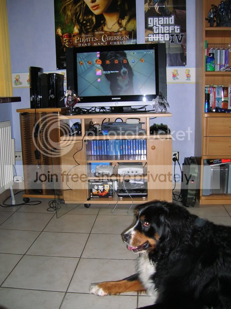 DSCN2575.jpg