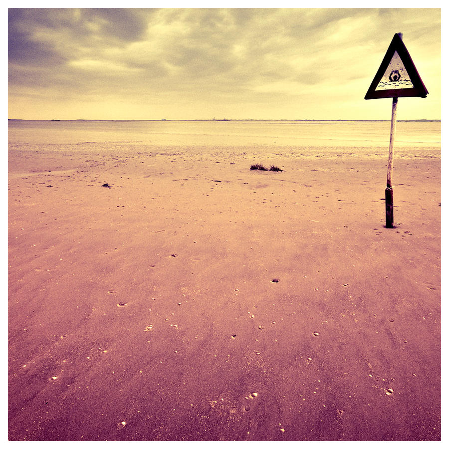 Y_at_the_beach_by_mightyflup.jpg