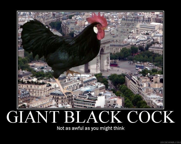 black-cock-poster.jpg