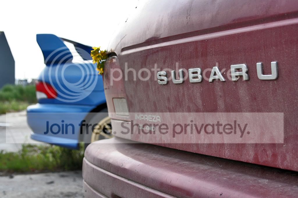subarurear.jpg