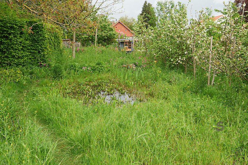 p2494884979-4.jpg