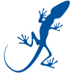 starlizard.com