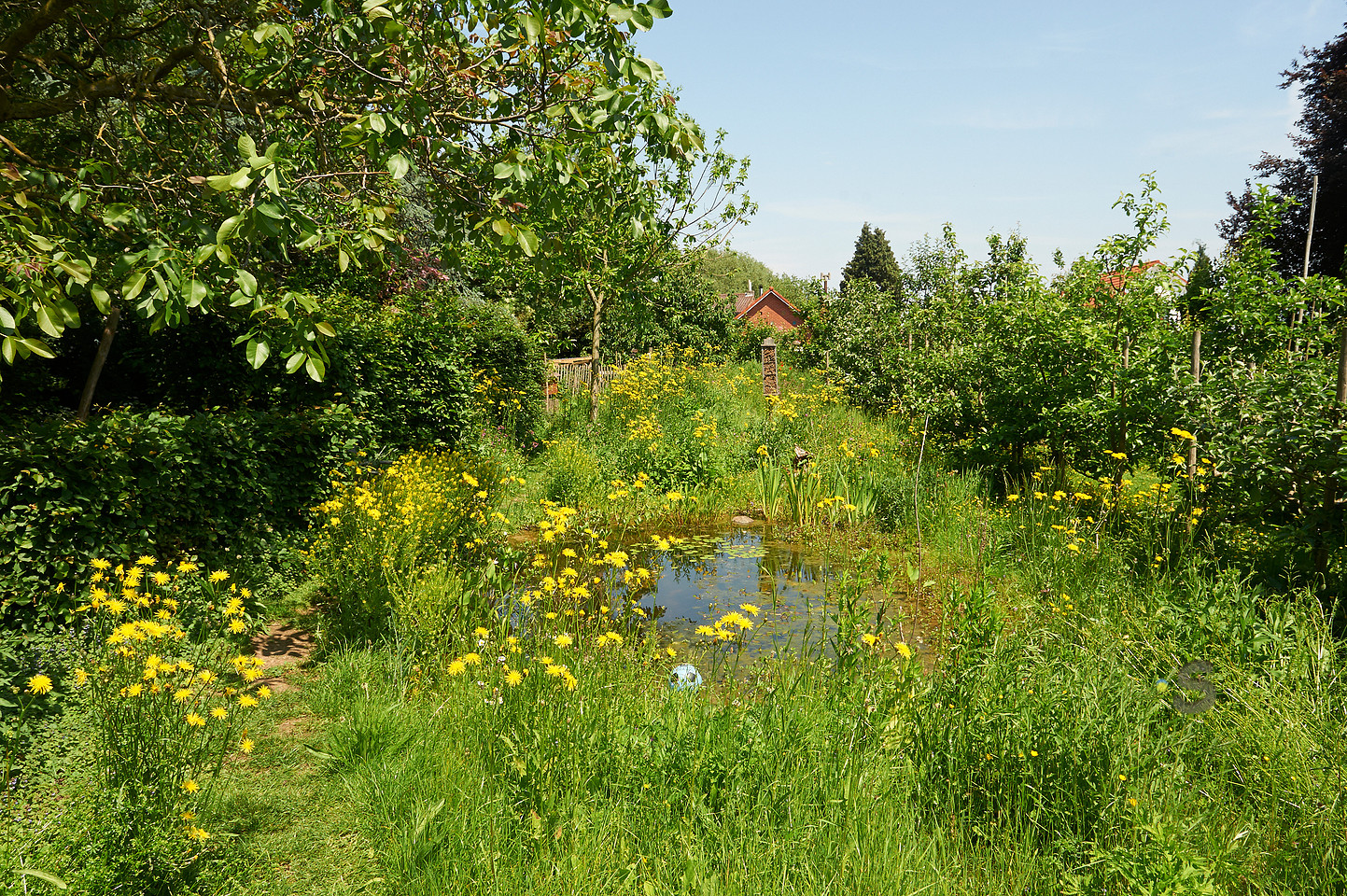 p2946756629-6.jpg
