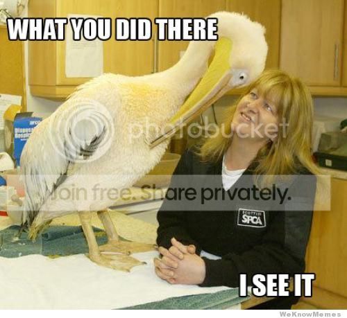 what-you-did-there-i-see-it.jpg