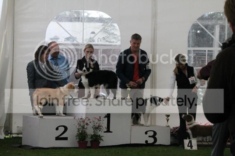 IMG_6799_zpsa2d4f324.jpg