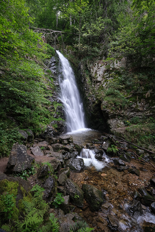 DSCF7688-XL.jpg