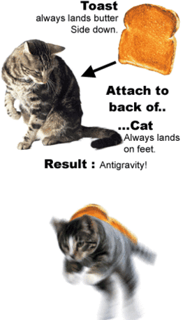 265px-cat_toast_swirl.gif