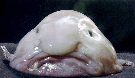 media_xl_82111.jpg
