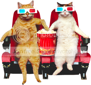 cat_popcorn.png