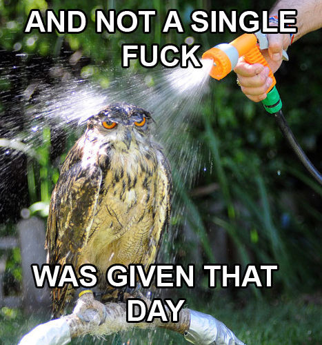 tumblr_ln04qwkDCm1qayv5co1_500.jpg