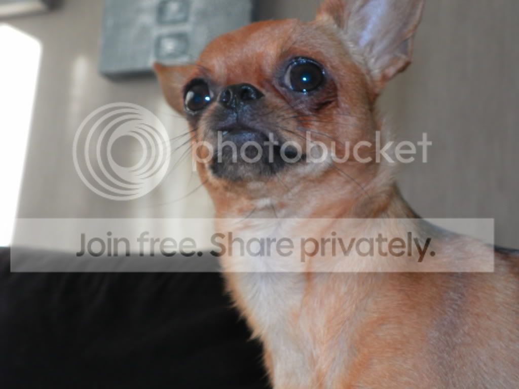 SAM_0248.jpg