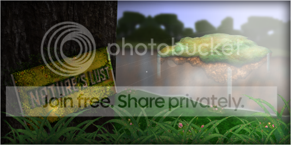 banner.png