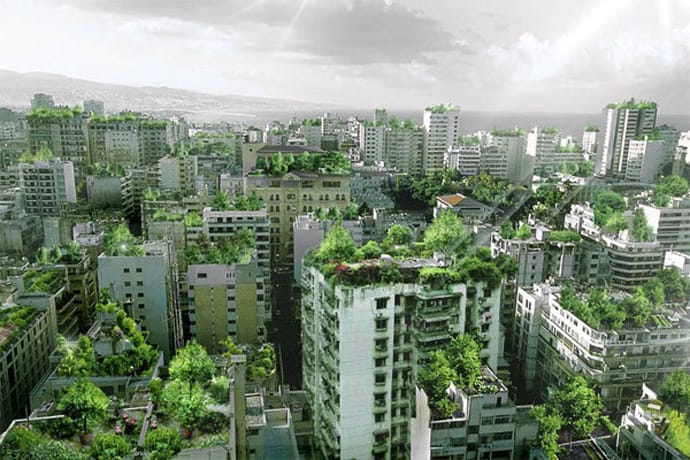 Beirut-Wonder-Forest.jpg