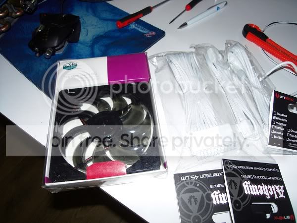 SDC10528.jpg
