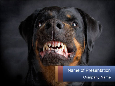 powerpoint-templates-b450.jpg