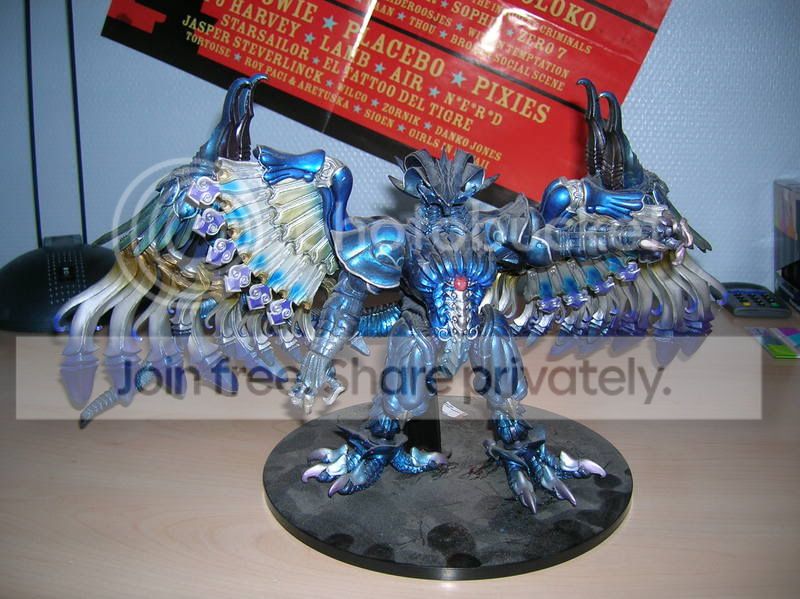 DSCN1997.jpg