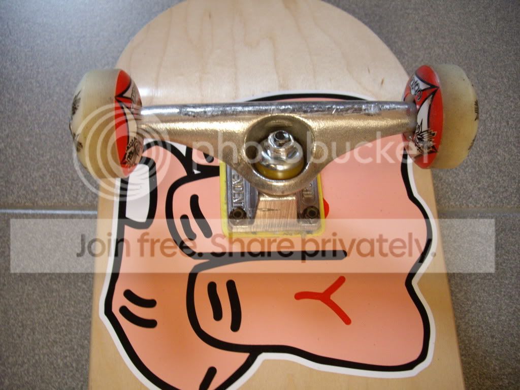 IMGP2217.jpg