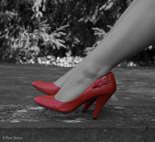 3903874818_9dbeb2f13d.jpg