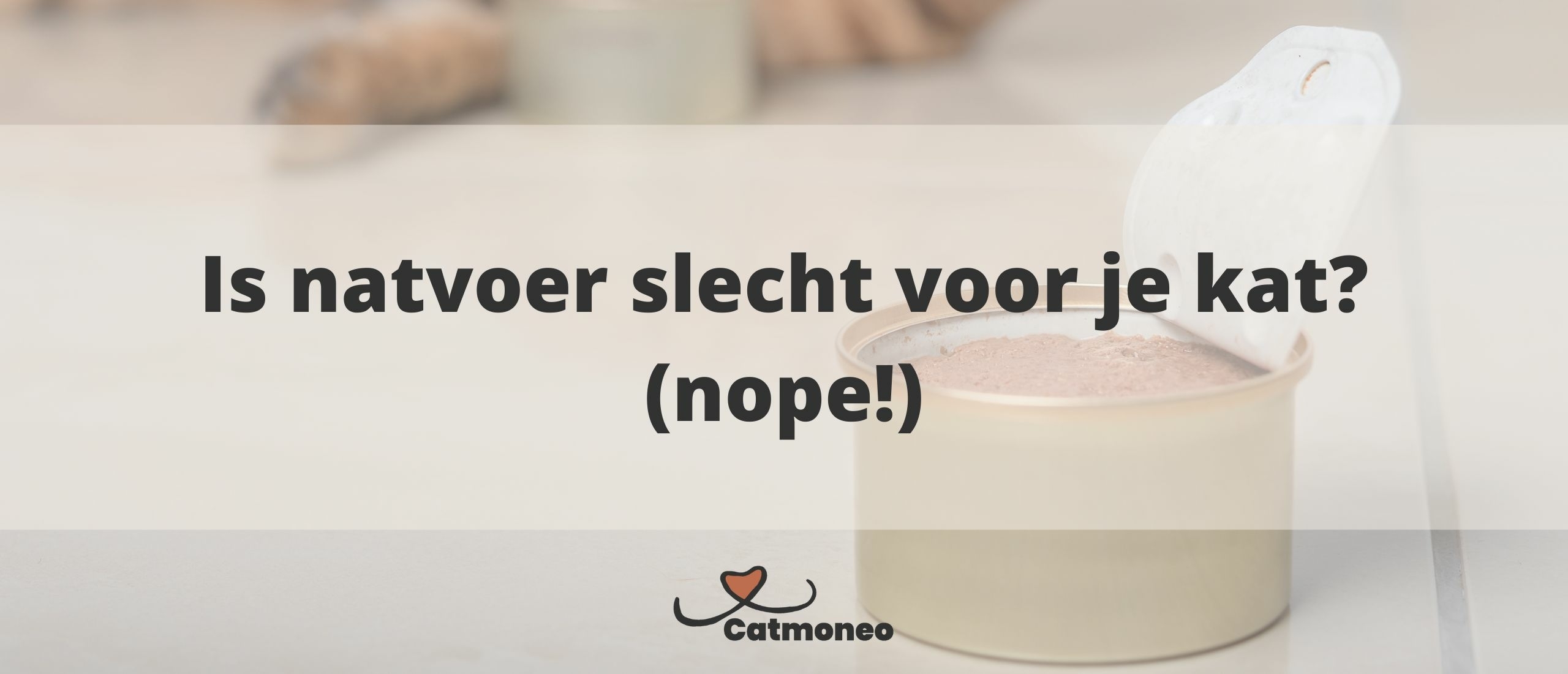 www.catmoneo.nl