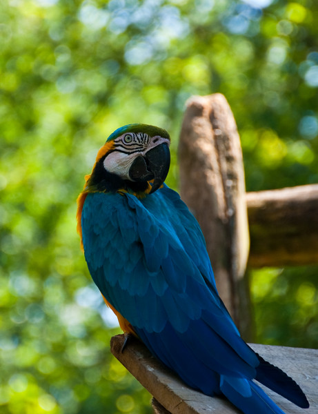 5804708024_5d06f5d3e0_z.jpg