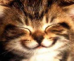 kitty-smile.jpg