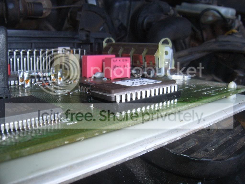 SUC53952.jpg