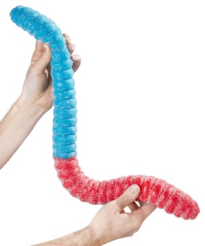 worlds-largest-gummy-worm-sour.jpg