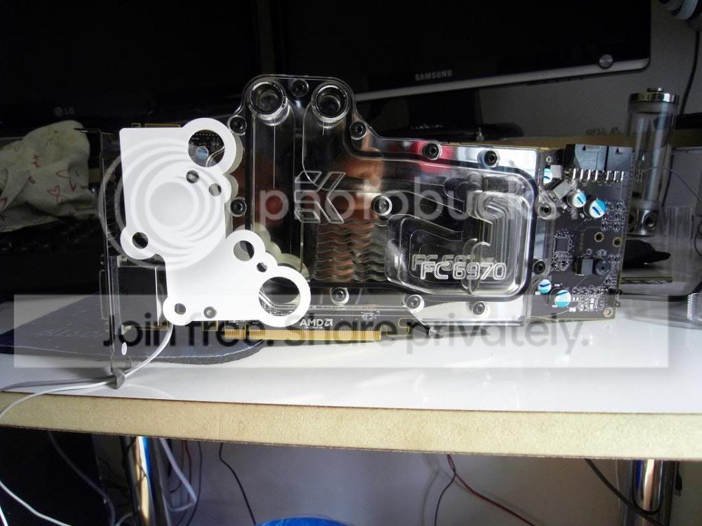 SDC10417.jpg