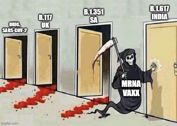 5d18ay.jpg