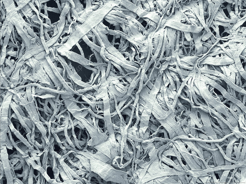 www.sciencephoto.com