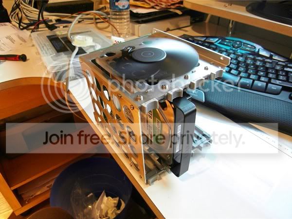SDC10499.jpg