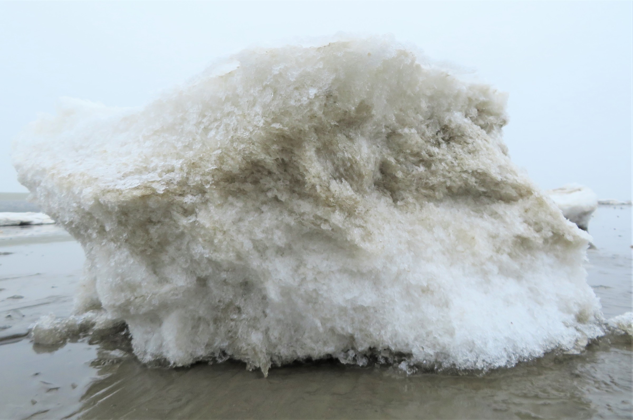 61c9890a39b55.JPG