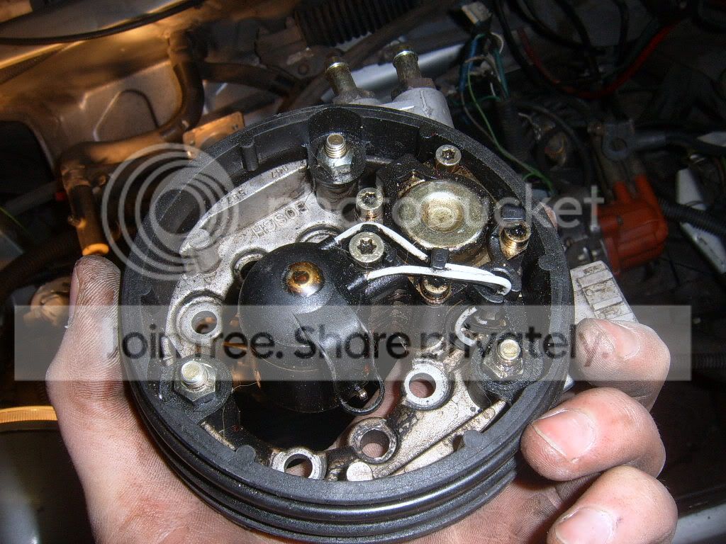 SUC50006.jpg