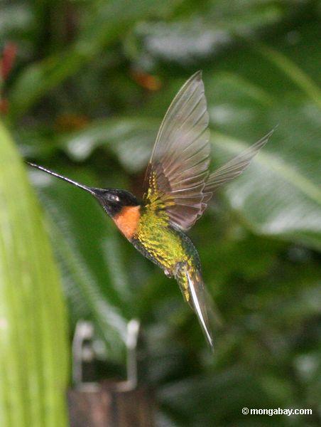 Machu_1019_1174.JPG