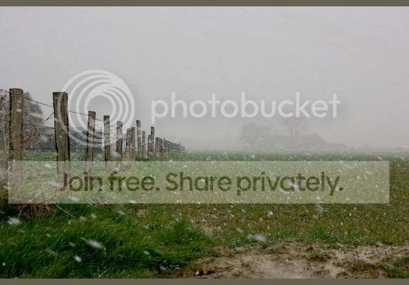 sneeuwbui.jpg