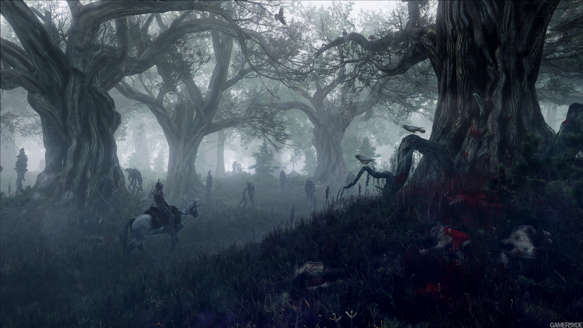 image_the_witcher_3_wild_hunt-22931-2651_0007.jpg