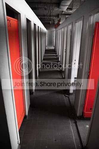 sized_IMG_3480.jpg