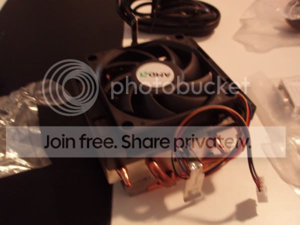 PB290275.jpg