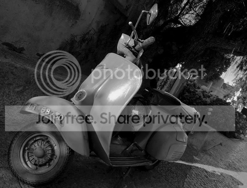 sized_IMG_2511.jpg