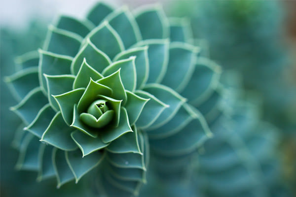 10-bokeh-spiral.jpg