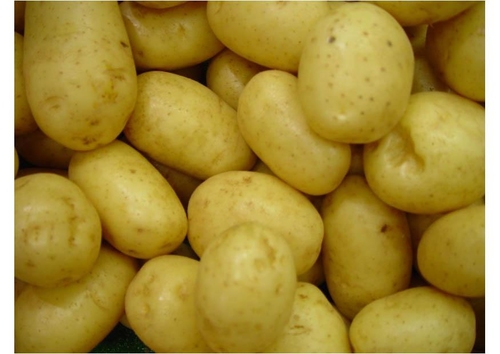 aardappelen-t8468.jpg