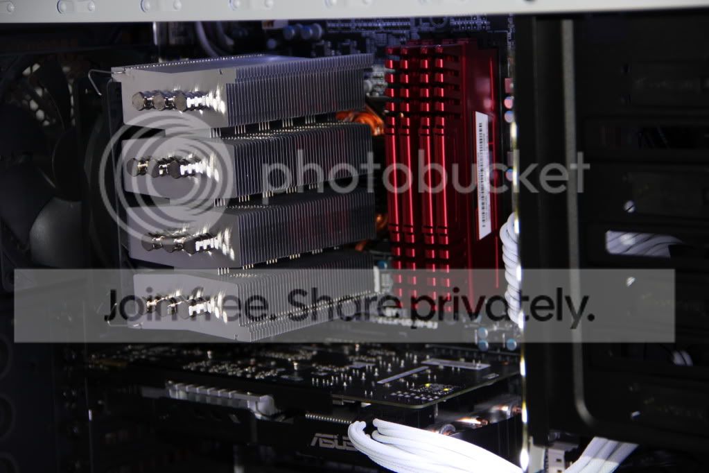 IMG_7217OK.jpg