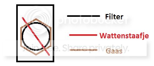 savvy.jpg