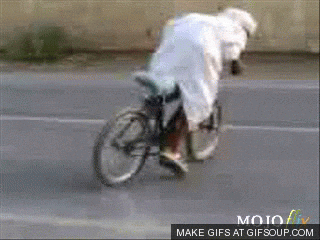 giphy.gif