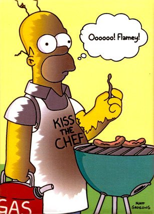 homer-bbq.jpg