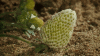 200w.gif