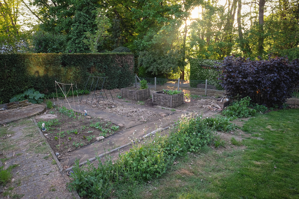 DSCF7531-XL.jpg