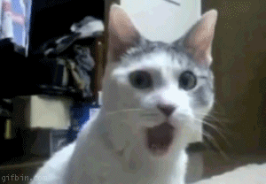 99198274.gif